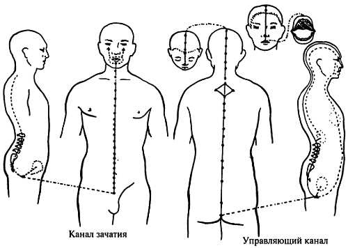 Корни китайского цигун. Секреты успешной практики Корни китайского цигун. Секреты успешной практики