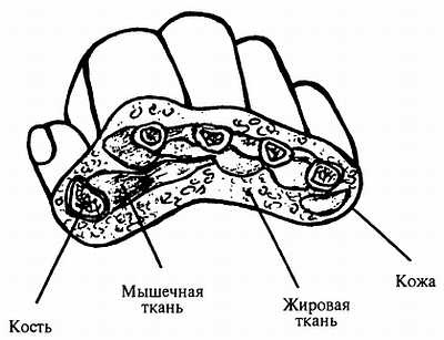 Корни китайского цигун. Секреты успешной практики Корни китайского цигун. Секреты успешной практики