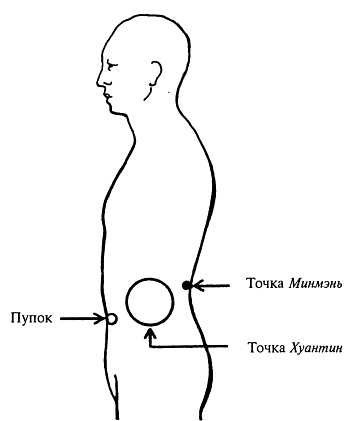 Корни китайского цигун. Секреты успешной практики Корни китайского цигун. Секреты успешной практики