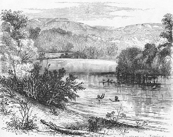 Сирия и Палестина под турецким правительством Сирия и Палестина под турецким правительством