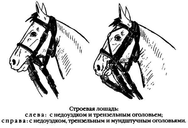 Повседневная жизнь русского гусара в царствование императора Александра I Повседневная жизнь русского гусара в царствование императора Александра I