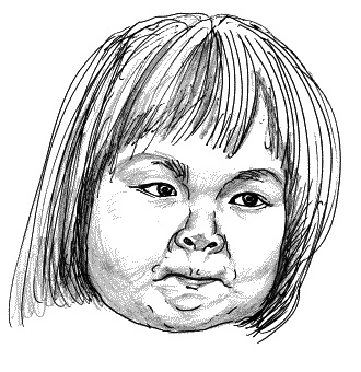 Тайная родословная человечества Тайная родословная человечества