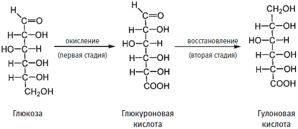 Пуговицы Наполеона. Семнадцать молекул, которые изменили мир Пуговицы Наполеона. Семнадцать молекул, которые изменили мир