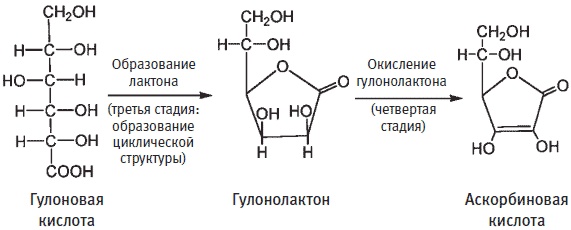 Пуговицы Наполеона. Семнадцать молекул, которые изменили мир Пуговицы Наполеона. Семнадцать молекул, которые изменили мир