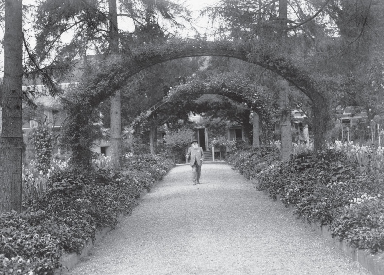 Чарующее безумие. Клод Моне и водяные лилии Чарующее безумие. Клод Моне и водяные лилии