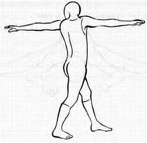 Дзэн-медитация. Базовые практики
