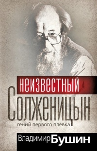 Неизвестный Солженицын. Гений первого плевка - Владимир Бушин - Читать книги онлайн | Слушать аудиокниги онлайн | Электронная библиотека books-lib.com