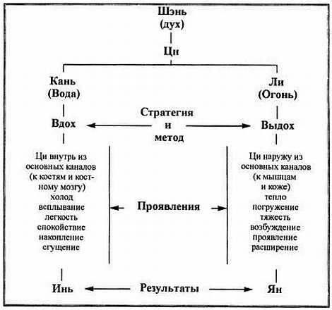 Цигун. Изменения мышц и сухожилий промывания костного и головного мозга. Секреты молодости Цигун. Изменения мышц и сухожилий промывания костного и головного мозга. Секреты молодости