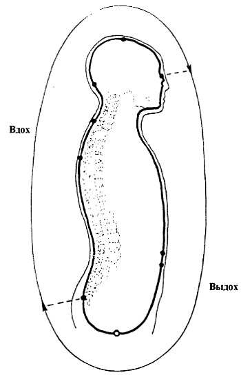 Цигун. Изменения мышц и сухожилий промывания костного и головного мозга. Секреты молодости