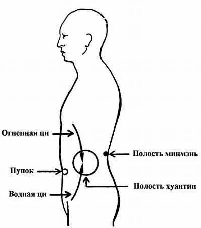 Цигун. Изменения мышц и сухожилий промывания костного и головного мозга. Секреты молодости Цигун. Изменения мышц и сухожилий промывания костного и головного мозга. Секреты молодости