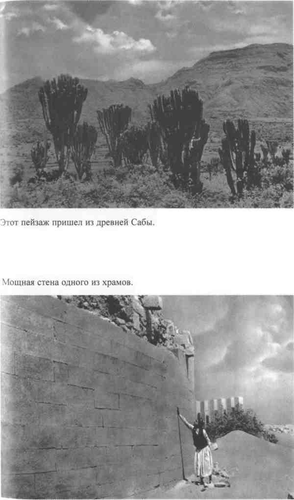 Повседневная жизнь Аравии Счастливой времен царицы Савской. VIII век до н.э. - I век н.э. Повседневная жизнь Аравии Счастливой времен царицы Савской. VIII век до н.э. - I век н.э.