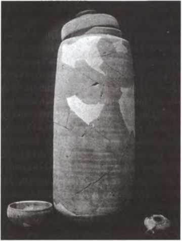 Свитки Мертвого моря. Долгий путь к разгадке Свитки Мертвого моря. Долгий путь к разгадке