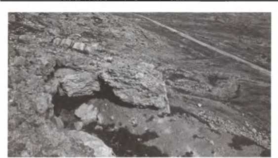 Свитки Мертвого моря. Долгий путь к разгадке Свитки Мертвого моря. Долгий путь к разгадке