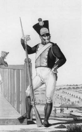 "Москва, спаленная пожаром". Первопрестольная в 1812 году "Москва, спаленная пожаром". Первопрестольная в 1812 году