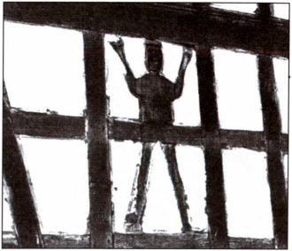 Руны. Обряды и наследие предков Руны. Обряды и наследие предков