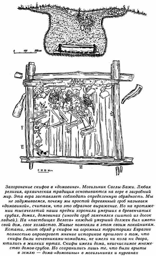 Евразийская империя скифов Евразийская империя скифов