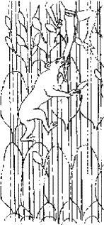 Загадки Финикии Загадки Финикии