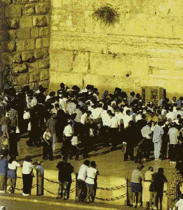 История под знаком вопроса История под знаком вопроса