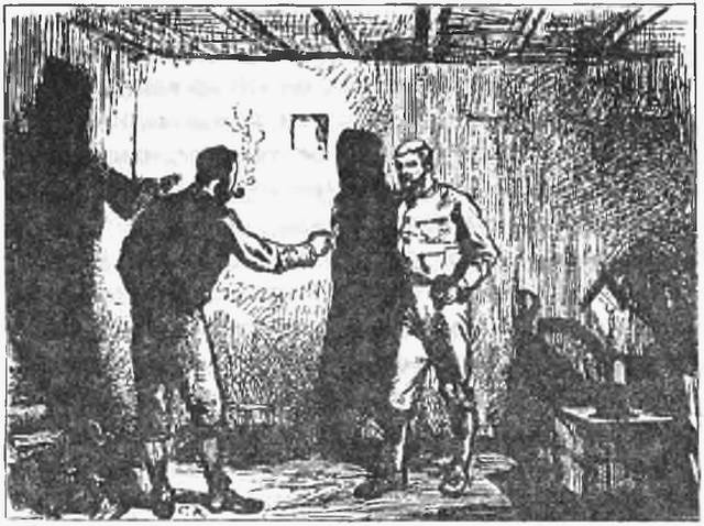 Дива Никотина Дива Никотина