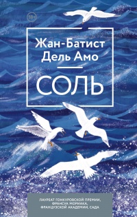 Соль - Жан-Батист Дель Амо - Читать книги онлайн | Слушать аудиокниги онлайн | Электронная библиотека books-lib.com
