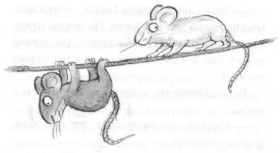 Мышонок-путешественник Мышонок-путешественник