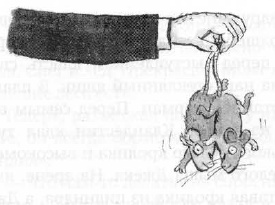 Мышонок-путешественник Мышонок-путешественник