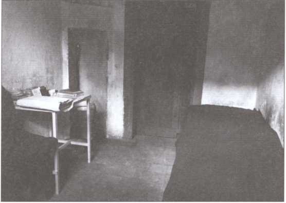 Нюрнбергский дневник Нюрнбергский дневник