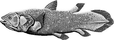 Какой была древняя Цивилизация до Катастрофы? Какой была древняя Цивилизация до Катастрофы?