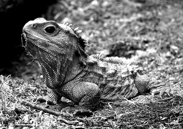 Какой была древняя Цивилизация до Катастрофы? Какой была древняя Цивилизация до Катастрофы?