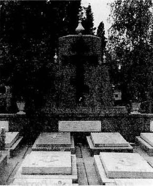 Тайны белого движения. Победы и поражения. 1918-1922 годы Тайны белого движения. Победы и поражения. 1918-1922 годы
