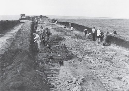Скифы: расцвет и падение великого царства Скифы: расцвет и падение великого царства