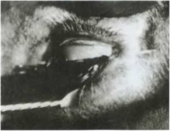 Повседневная жизнь сюрреалистов. 1917-1932 Повседневная жизнь сюрреалистов. 1917-1932