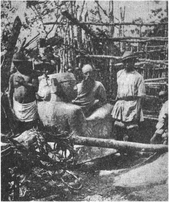 Предки богов. Затерянная цивилизация Лемурии Предки богов. Затерянная цивилизация Лемурии