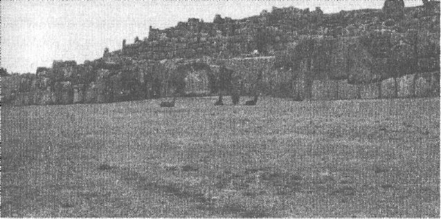 Предки богов. Затерянная цивилизация Лемурии Предки богов. Затерянная цивилизация Лемурии