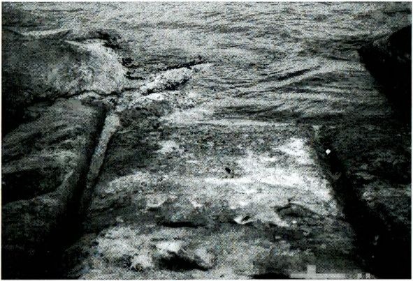 Одиссея богов Одиссея богов