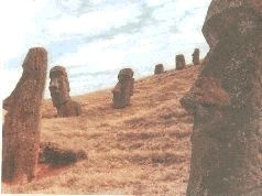 Небесные учителя Небесные учителя