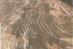 Небесные учителя Небесные учителя