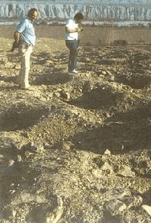 Небесные учителя Небесные учителя