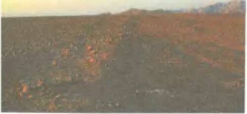 Знаки, обращенные в вечность Знаки, обращенные в вечность