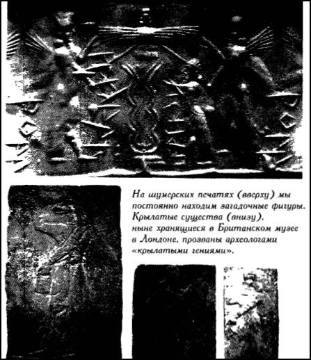 Глаза Сфинкса Глаза Сфинкса