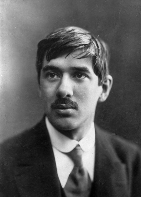 Дневник. 1901-1921 Дневник. 1901-1921