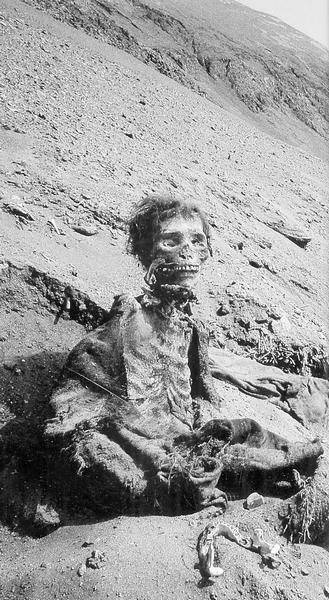 Древняя Америка: полет во времени и пространстве. Северная Америка. Южная Америка Древняя Америка: полет во времени и пространстве. Северная Америка. Южная Америка