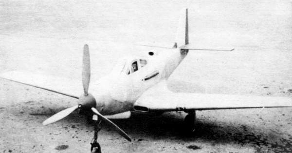 ИСТРЕБИТЕЛЬ P-63 «КИНГКОБРА» ИСТРЕБИТЕЛЬ P-63 «КИНГКОБРА»