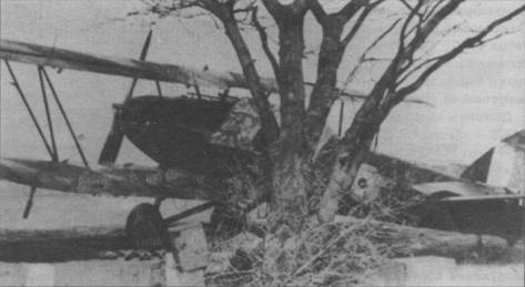 Ближние разведчики, корректировщики и штурмовики, 1939-1945 Ближние разведчики, корректировщики и штурмовики, 1939-1945
