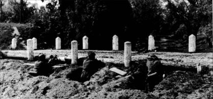 Трагедия Брестской крепости. Антология подвига. Боевые действия 22 июня - 23 июля 1941 года Трагедия Брестской крепости. Антология подвига. Боевые действия 22 июня - 23 июля 1941 года