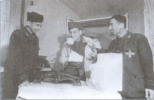 Германо-итальянские боевые операции. 1941-1943 гг. Германо-итальянские боевые операции. 1941-1943 гг.