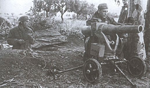 Германо-итальянские боевые операции. 1941-1943 гг. Германо-итальянские боевые операции. 1941-1943 гг.