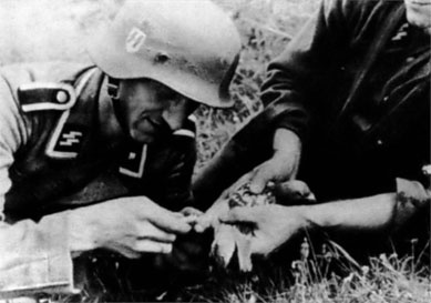 Войска СС без грифа секретности Войска СС без грифа секретности