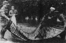 Войска СС без грифа секретности Войска СС без грифа секретности