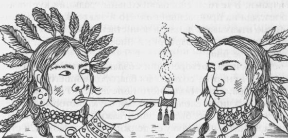 Женщины-воины. От амазонок до куноити Женщины-воины. От амазонок до куноити